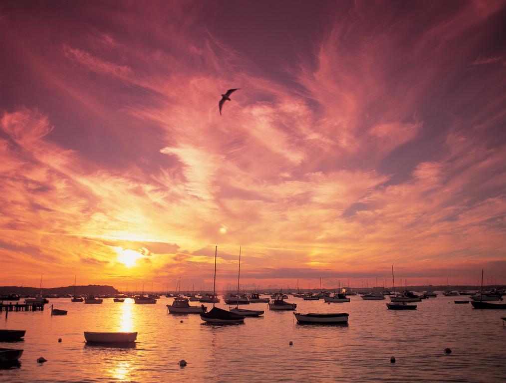 The Canford Poole Exterior foto